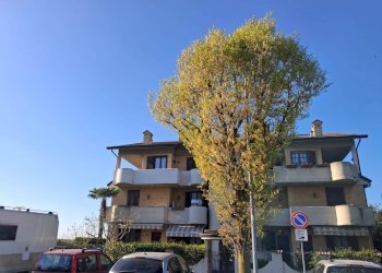 Foto 1 - Trilocale Via Venezia
 
50, Nova Milanese - foto 1