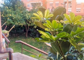 Giardino - Quadrilocale via Mauriac, 27, Roma - foto 8