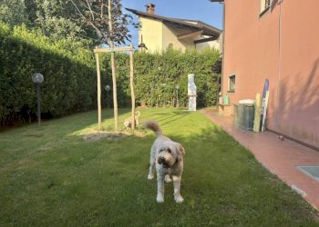 Foto 5 - Independent house Via di Tempagnano, Lucca - photo 5