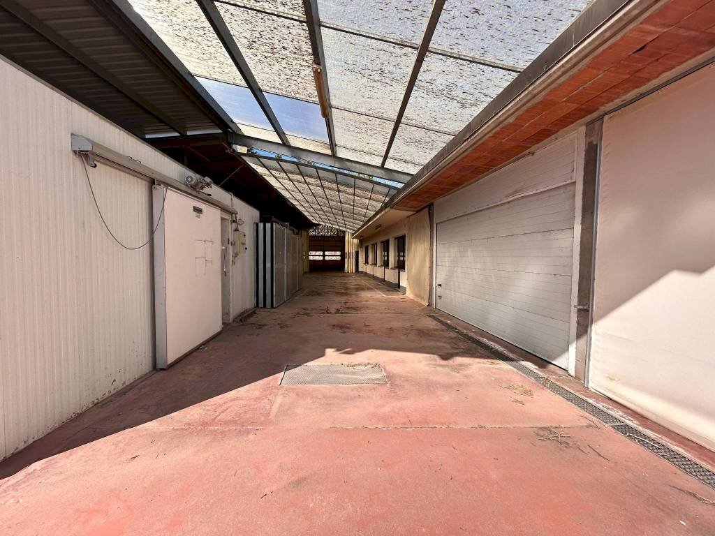 Box auto - Capannone via della Ripa, 37, frazione Madonna Delle Grazie, Cuneo - foto 3