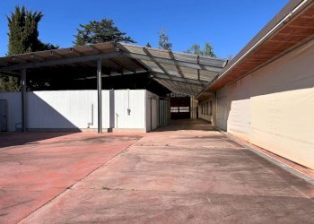 Terrazzo - Capannone via della Ripa, 37, frazione Madonna Delle Grazie, Cuneo - foto 11