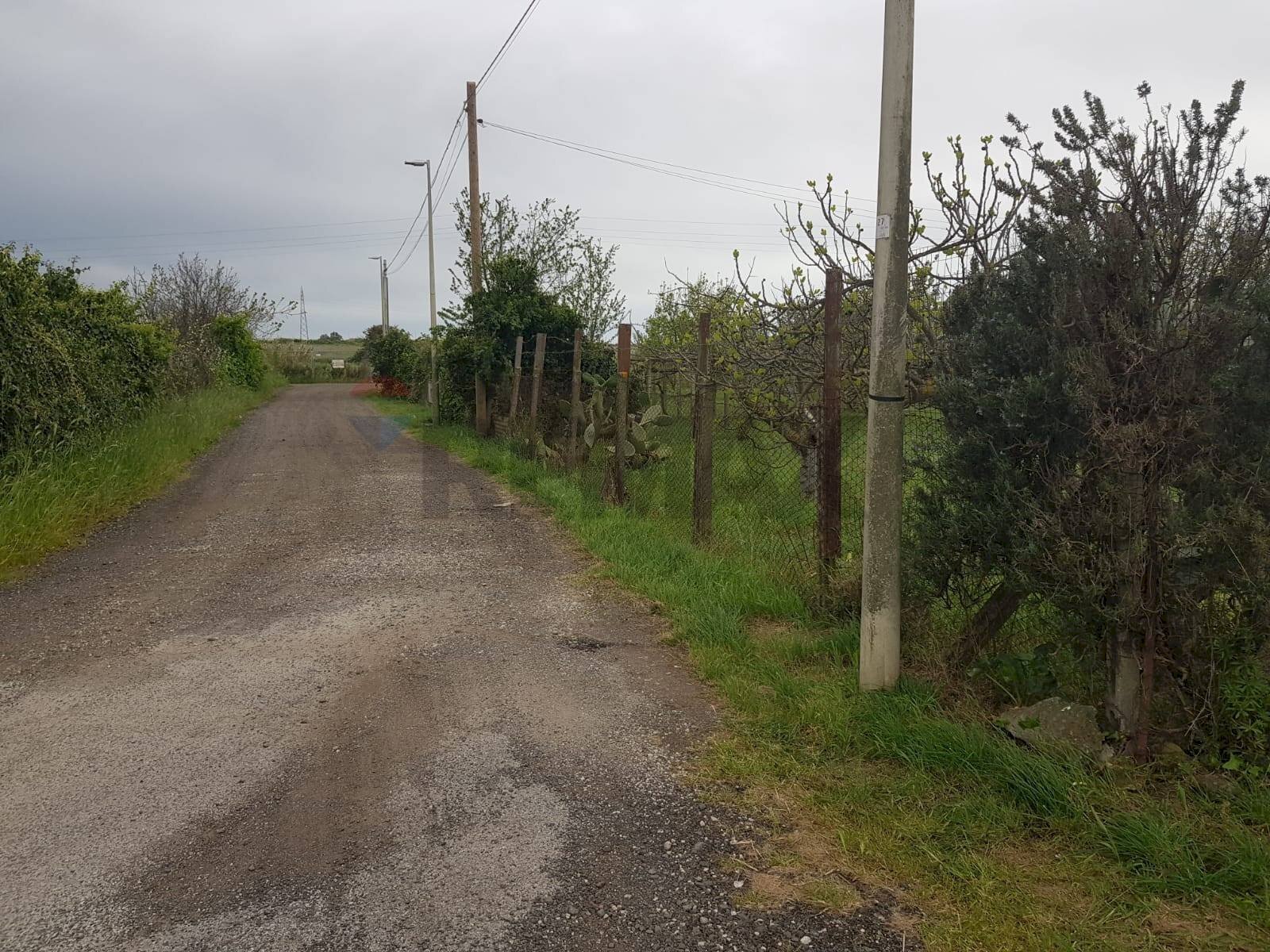 Giardino - Terreno edificabile Palazzo Morgana, Roma - foto 1