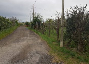 Giardino - Terreno edificabile Palazzo Morgana, Roma - foto 1