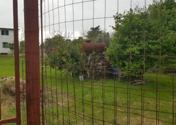 Giardino - Terreno edificabile Palazzo Morgana, Roma - foto 3