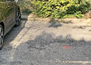 Posto macchina - Box via Camillo Ranzani, Bologna (zona San Donato) - foto 5