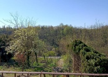 Vista - Rustic Frazione Casabianca, 58, Asti - photo 3
