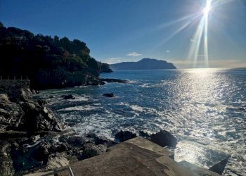 Vista - Appartamento Bogliasco - foto 6
