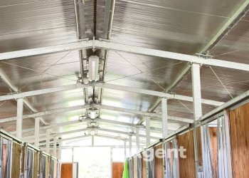 Interno non residenziale - Commercial Premises LOCALITA' PIANO D'ISCHIA, SNC, Civitella del Tronto - photo 23