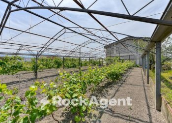 Terreno - Rustico via Orta Corcia, Angri - foto 18