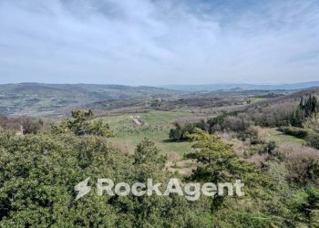 Vista - Stabile - Palazzo Località Morruzze, 14, Baschi - foto 37