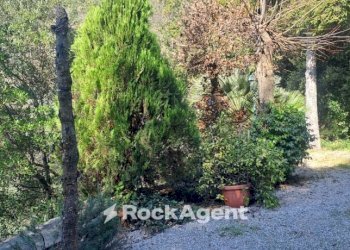 Giardino - Villa via Pineta, 12, Poggio Catino - foto 3