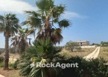 Terreno - Villa via 168, Porto Cesareo - foto 18