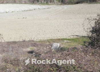 Terreno - Rustico Frazione Costa, 123, Arcevia - foto 28