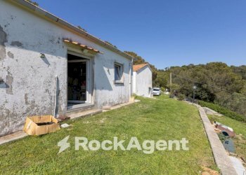 Giardino - Villa via delle Vignacce, 18, Livorno - foto 13