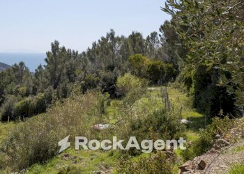 Terreno - Villa via delle Vignacce, 18, Livorno - foto 34