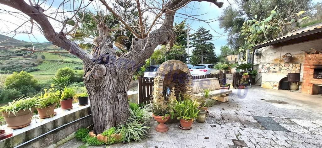 Giardino - Rustico strada Provinciale di Camporeale, Alcamo - foto 1