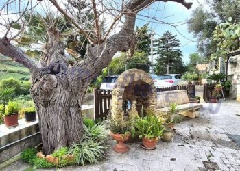 Giardino - Rustico strada Provinciale di Camporeale, Alcamo - foto 1