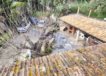 Giardino - Rustico strada Provinciale di Camporeale, Alcamo - foto 4