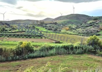 Vista - Rustico strada Provinciale di Camporeale, Alcamo - foto 19