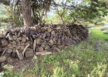 Terreno - Rustico strada Provinciale di Camporeale, Alcamo - foto 21