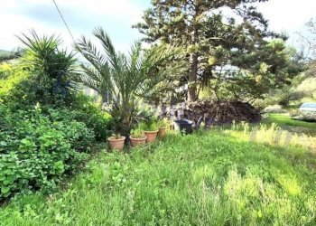 Giardino - Rustico strada Provinciale di Camporeale, Alcamo - foto 22