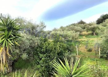 Terreno - Rustico strada Provinciale di Camporeale, Alcamo - foto 27