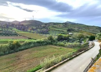 Terreno - Rustico strada Provinciale di Camporeale, Alcamo - foto 29