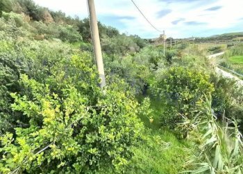 Terreno - Rustico strada Provinciale di Camporeale, Alcamo - foto 31