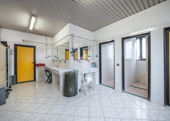 Capannone via viazza, Cadelbosco di Sopra - foto 25