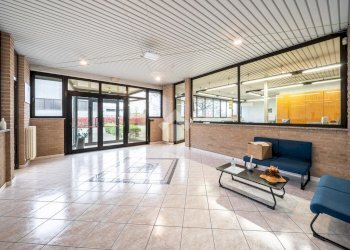 Capannone via viazza, Cadelbosco di Sopra - foto 30