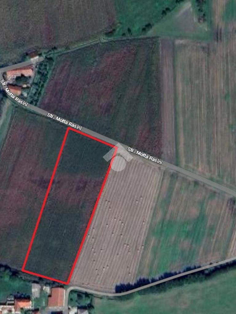 Terreno agricolo Strada motta rasini, Pinerolo - foto 3