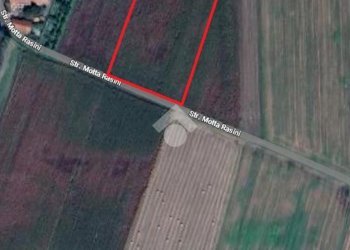 Terreno agricolo Strada motta rasini, Pinerolo - foto 2