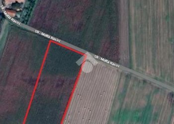 Terreno agricolo Strada motta rasini, Pinerolo - foto 3