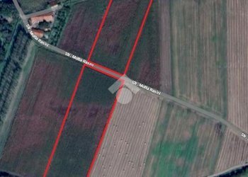 Terreno agricolo Strada motta rasini, Pinerolo - foto 1