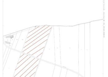 Terreno agricolo Strada motta rasini, Pinerolo - foto 4