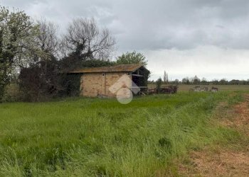 Rustic Via Crociarone, Cervia - photo 5