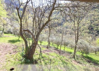 IMG_9067.jpg - Rustic Arcugnano - photo 13