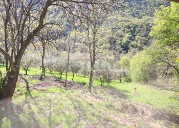 IMG_9068.jpg - Rustic Arcugnano - photo 14