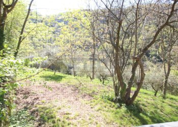 IMG_9081.jpg - Rustic Arcugnano - photo 21