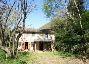 IMG_9084.jpg - Rustic Arcugnano - photo 23