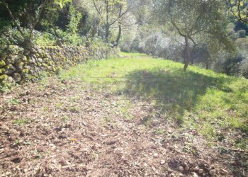 IMG_9085.jpg - Rustic Arcugnano - photo 24