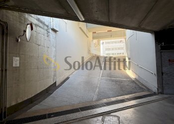 IMG_1739.JPG - Box Via Arbe 20, Torino (zona Mirafiori Nord) - foto 9