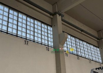 IMG_2197(1).JPG - Locale Commerciale Strada Martinella, Parma - foto 1