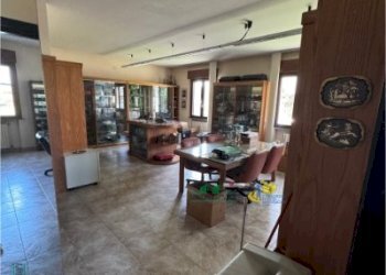 IMG_2202.JPG - Locale Commerciale Strada Martinella, Parma - foto 5