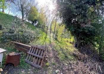 Terreno agricolo via pediano, Imola - foto 8