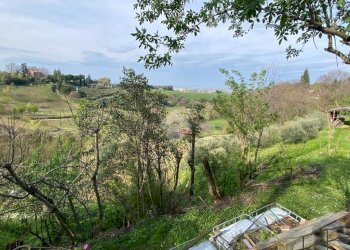 Terreno agricolo via pediano, Imola - foto 11