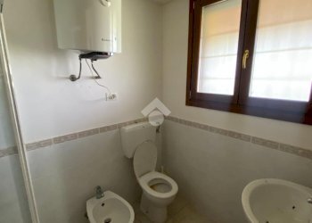 Terreno agricolo via pediano, Imola - foto 12