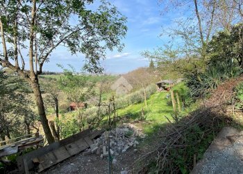 Terreno agricolo via pediano, Imola - foto 14