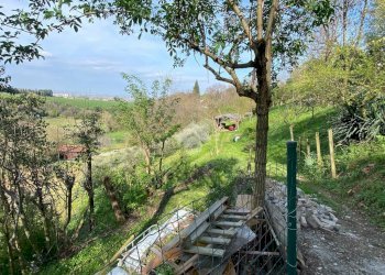 Terreno agricolo via pediano, Imola - foto 15