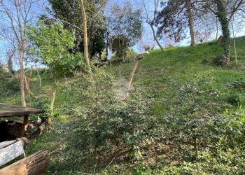 Terreno agricolo via pediano, Imola - foto 16